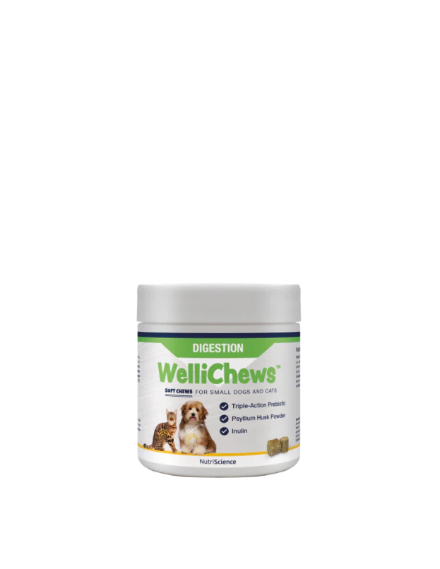 Wellichew Digestion Small Dog/Cat 120 Chews- 106g - Image 2