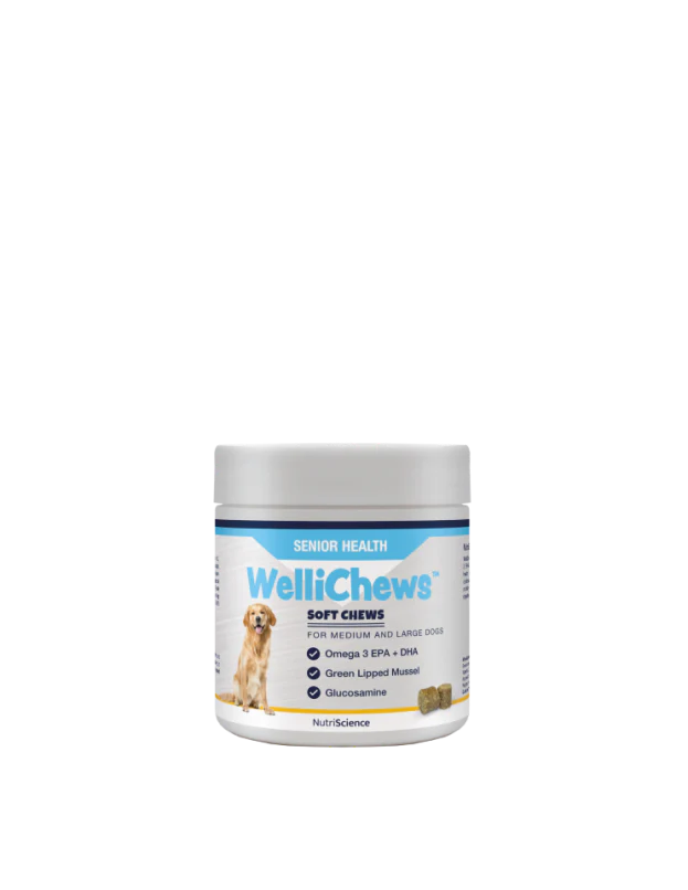Wellichew Senior Health Chews Medium/Large Dogs - 60 Chews 120g - Image 2