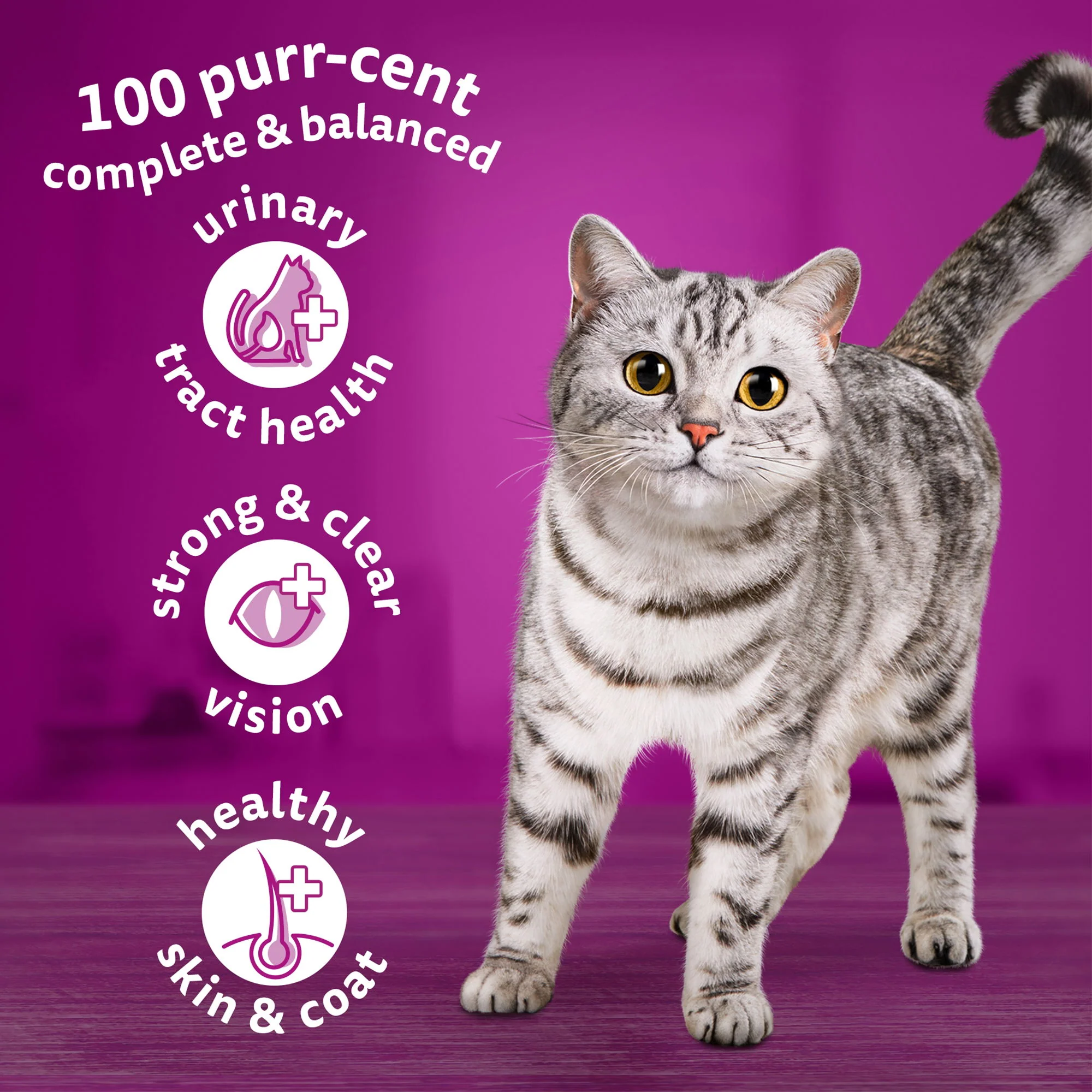 WHISKAS Adult Complete Dry Cat Food Biscuits Chicken 7kg - Image 3