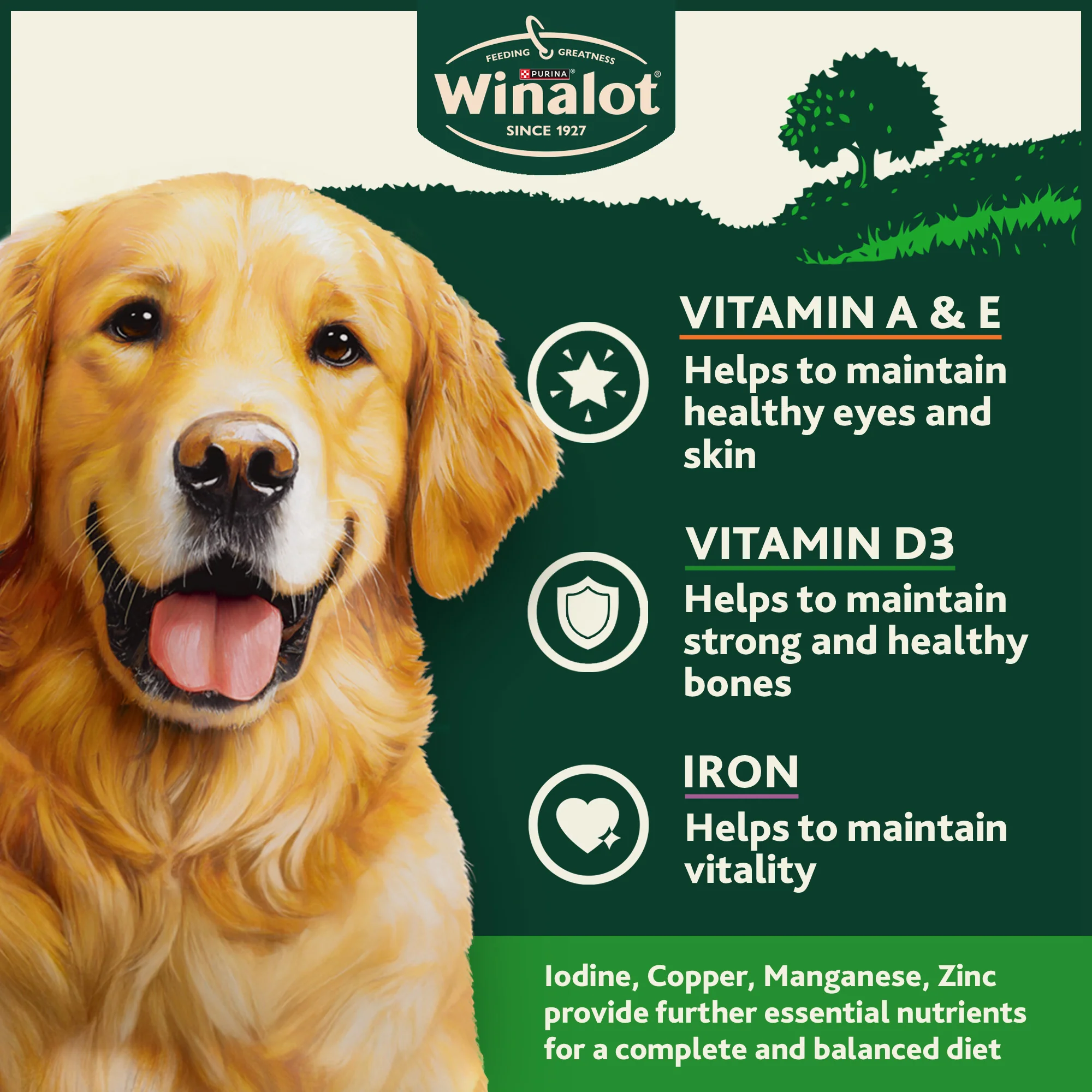 Winalot Adult Wet Dog Food Can With Cod 12x400g - Image 2