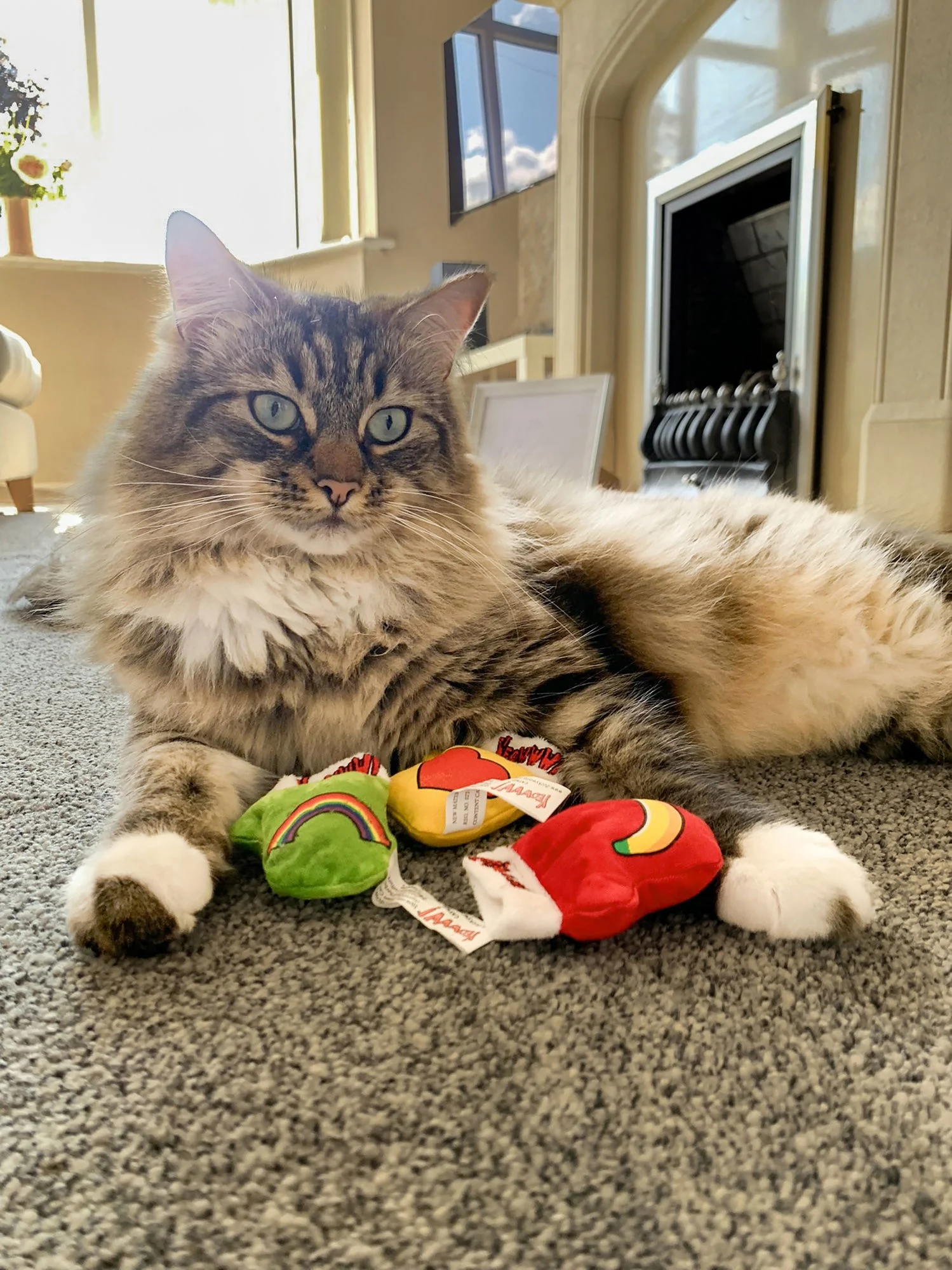 Yeowww 3 Kitten Mittens - Image 3