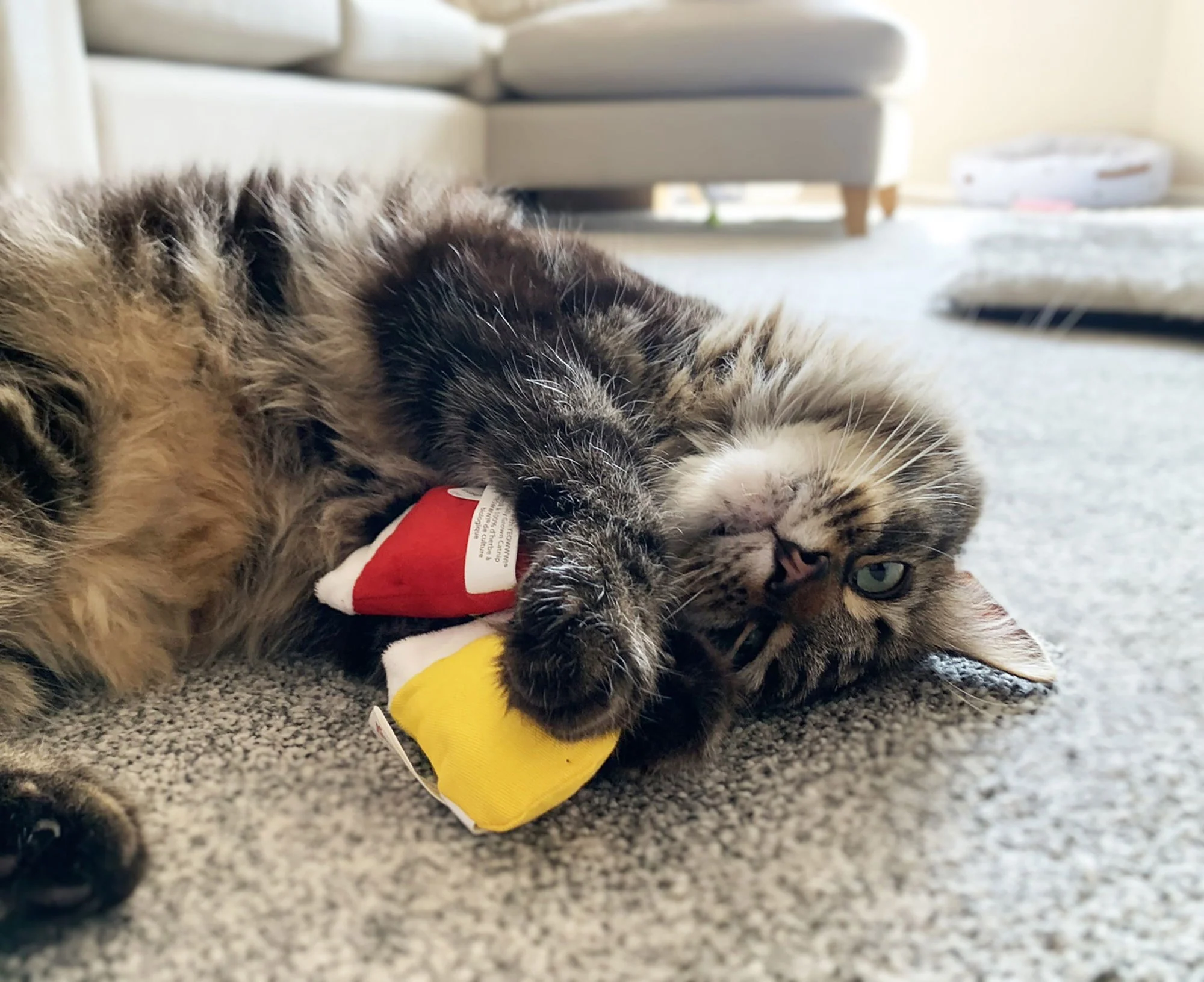 Yeowww 3 Kitten Mittens - Image 4