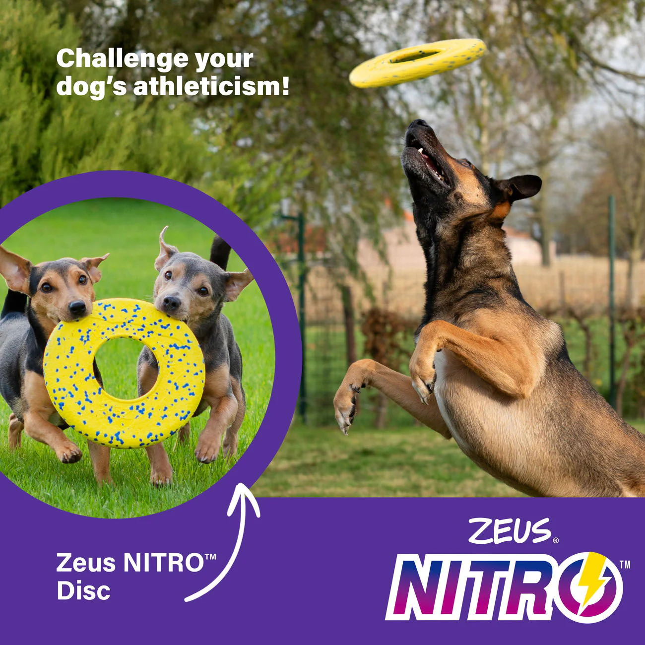 Zeus Nitro Flying Disc 24cm dia - Image 4