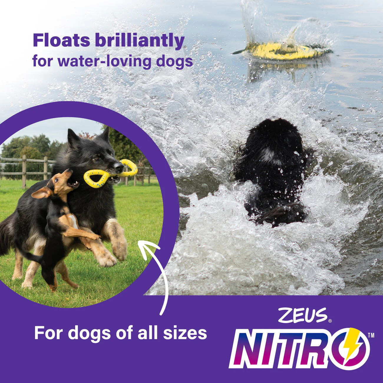 Zeus Nitro Flying Disc 24cm dia - Image 5