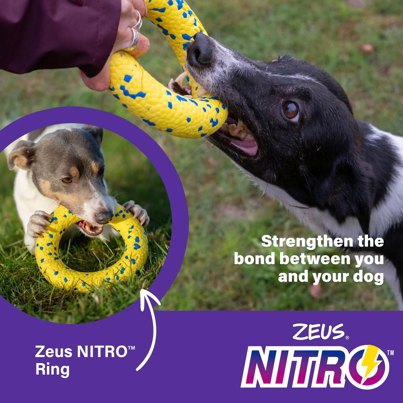Zeus Nitro Ring 16cm dia - Image 4