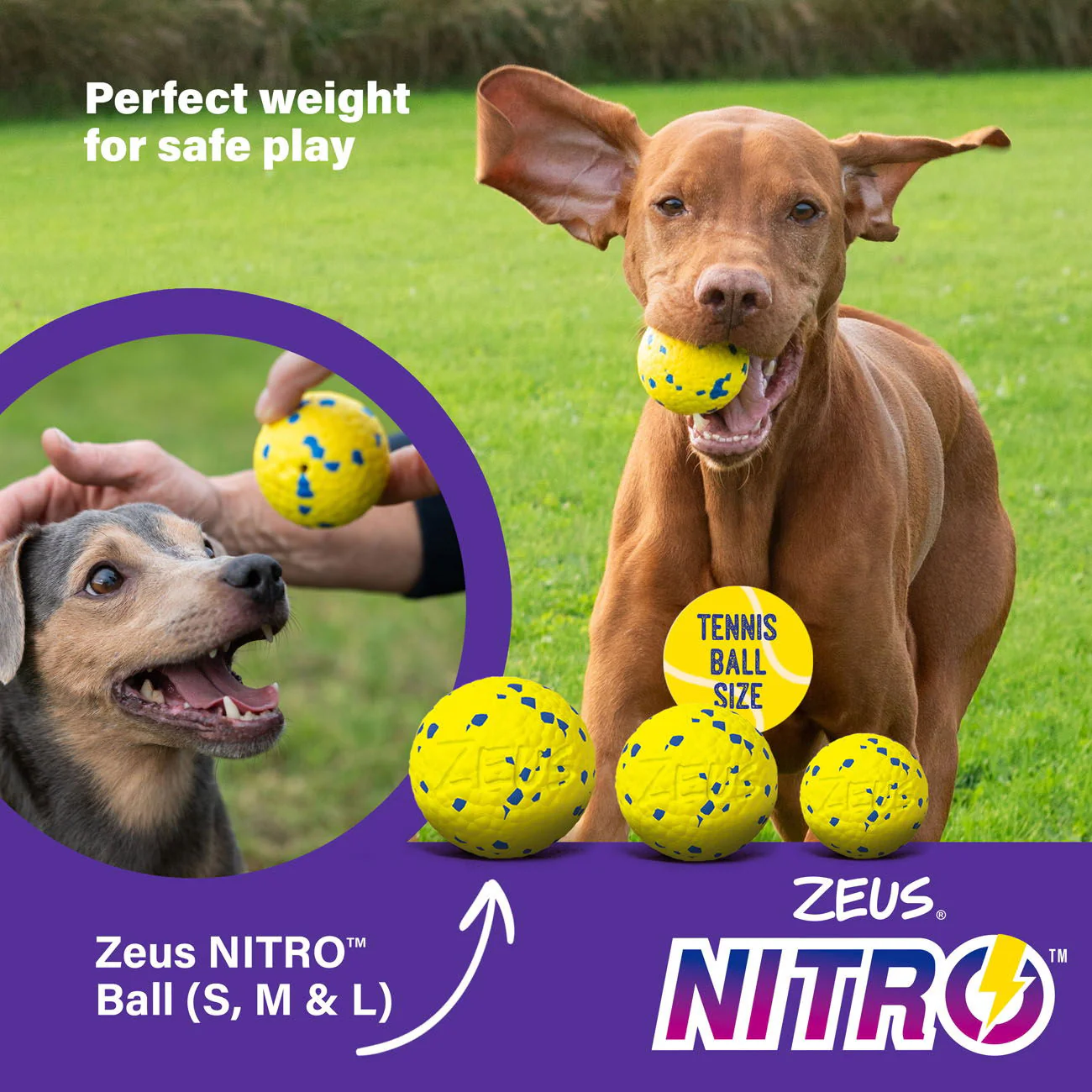 Zeus Nitro Weighted Ball Small 5cm dia - Image 4