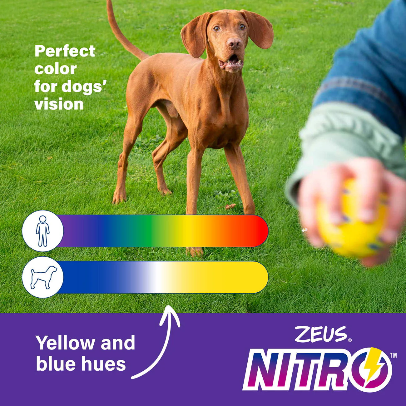 Zeus Nitro Weighted Slinger w Rope 9.2cm - Image 5